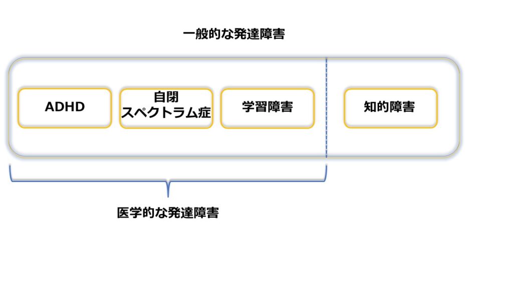 【分かりやすく説明】発達障害と知的障害の違い | くじら広場
